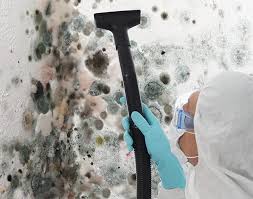 Best Industrial Mold Remediation  in Harlem, GA